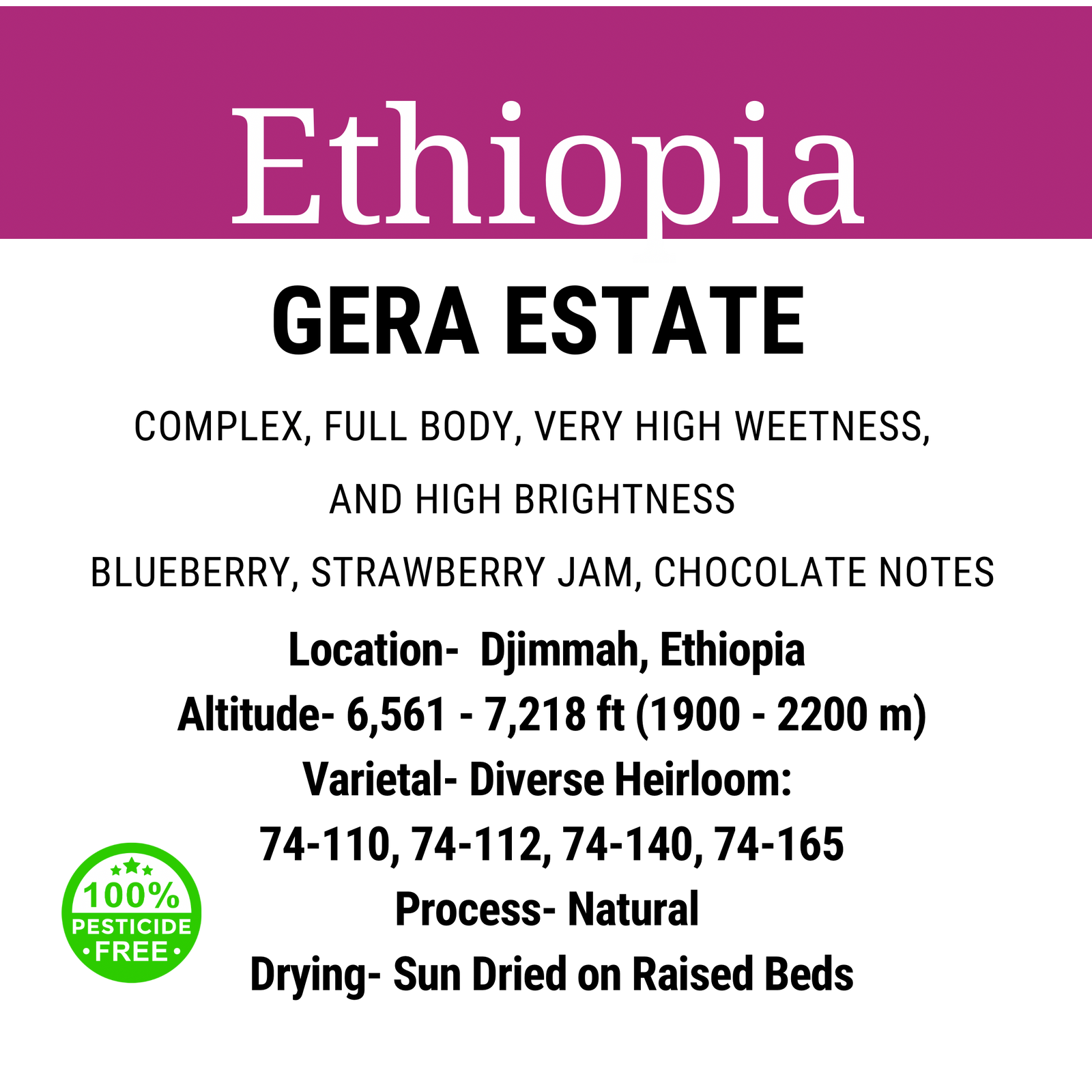 Ethiopia Gera Estate Natural