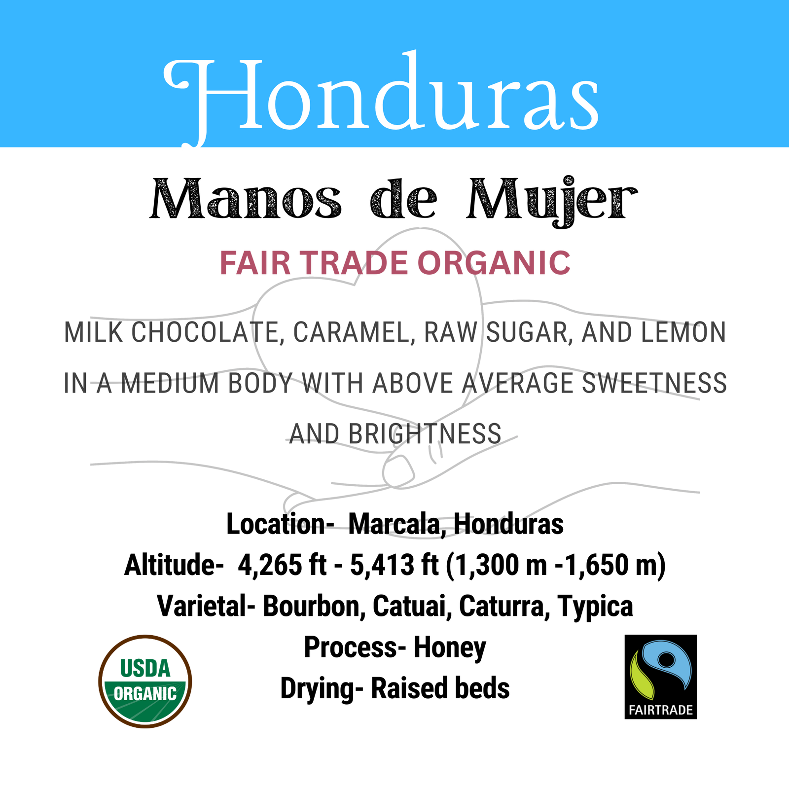 Honduras Manos de Mujer Fair Trade Organic SHG